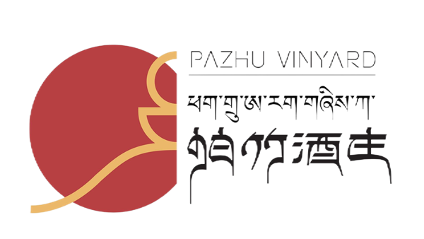 Pazhu Vineyard