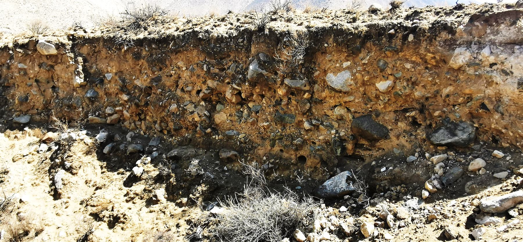 A cut section through the vineyard soil, showing stone and mineral layers